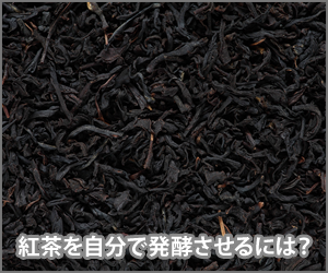 紅茶を自分で発酵させる方法