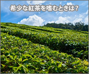 希少な紅茶を嗜むには