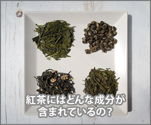 紅茶資格のまとめサイト
